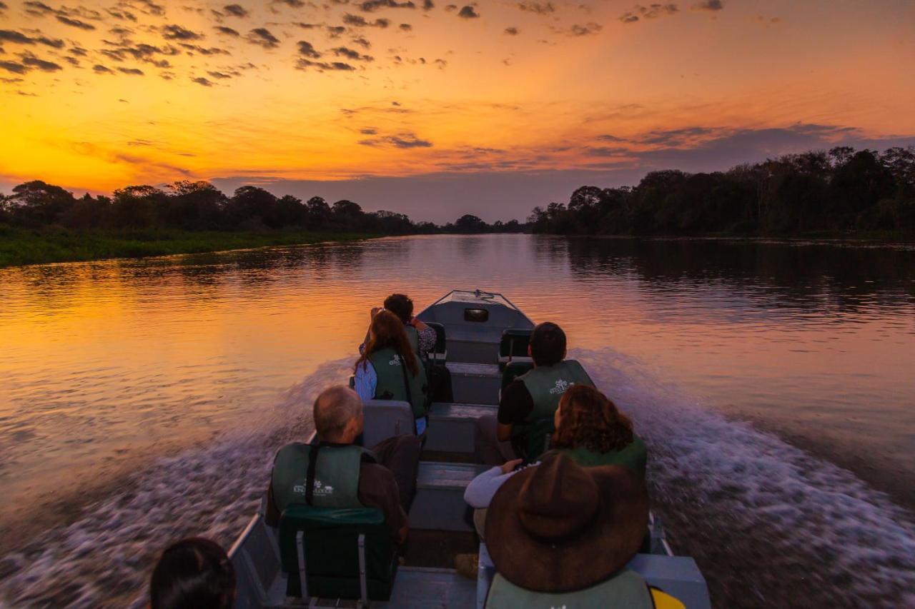 Pantanal Jungle Lodge Passo do Lontra المظهر الخارجي الصورة