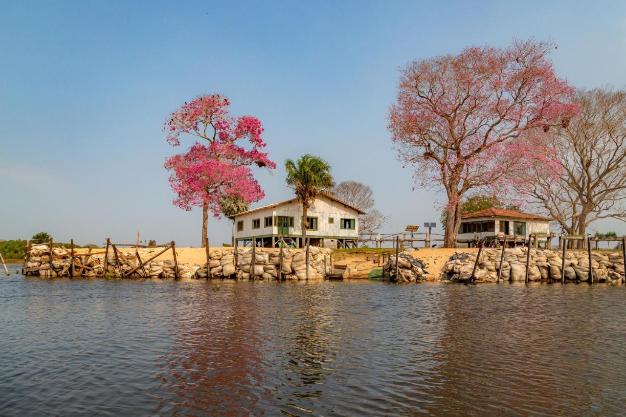 Pantanal Jungle Lodge Passo do Lontra المظهر الخارجي الصورة