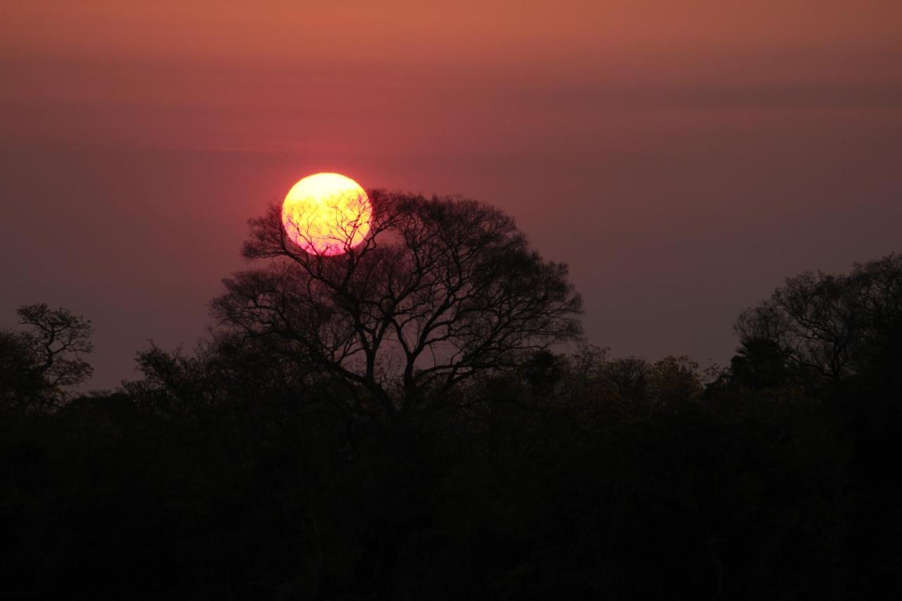Pantanal Jungle Lodge Passo do Lontra المظهر الخارجي الصورة
